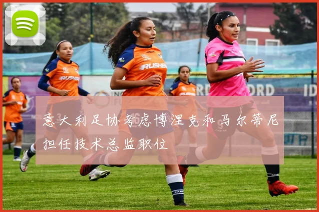 意大利足协考虑博涅克和马尔蒂尼担任技术总监职位